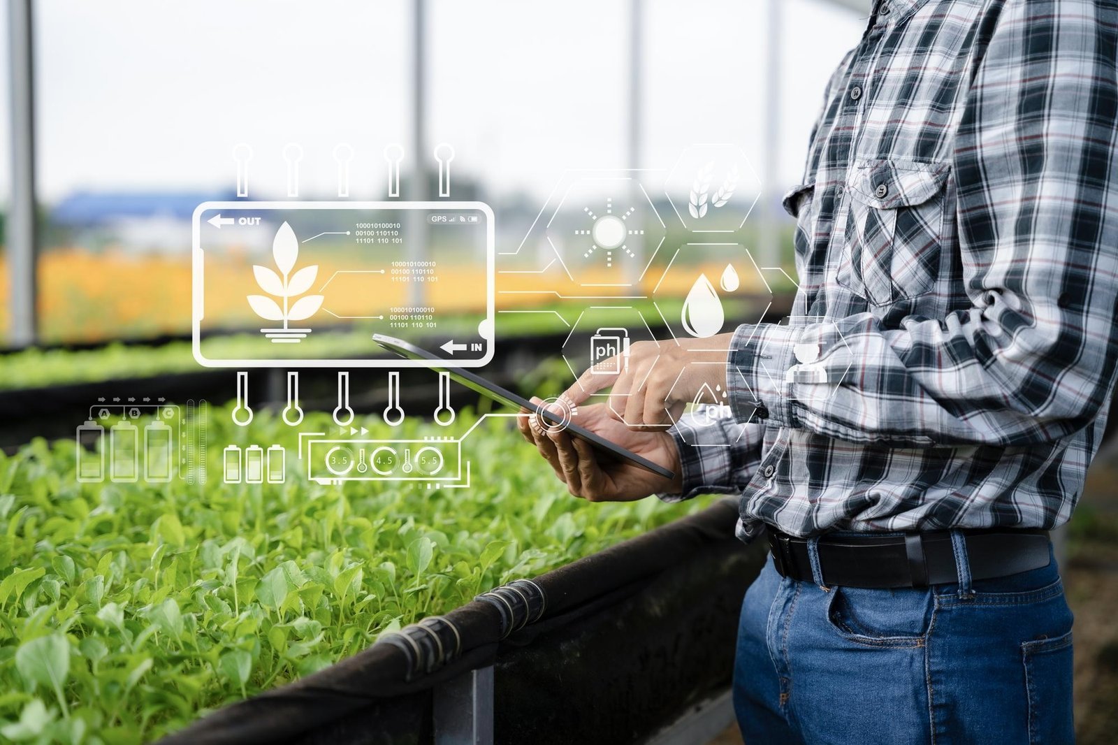 Sowing Innovation: How Agritech is Transforming Indian Agriculture