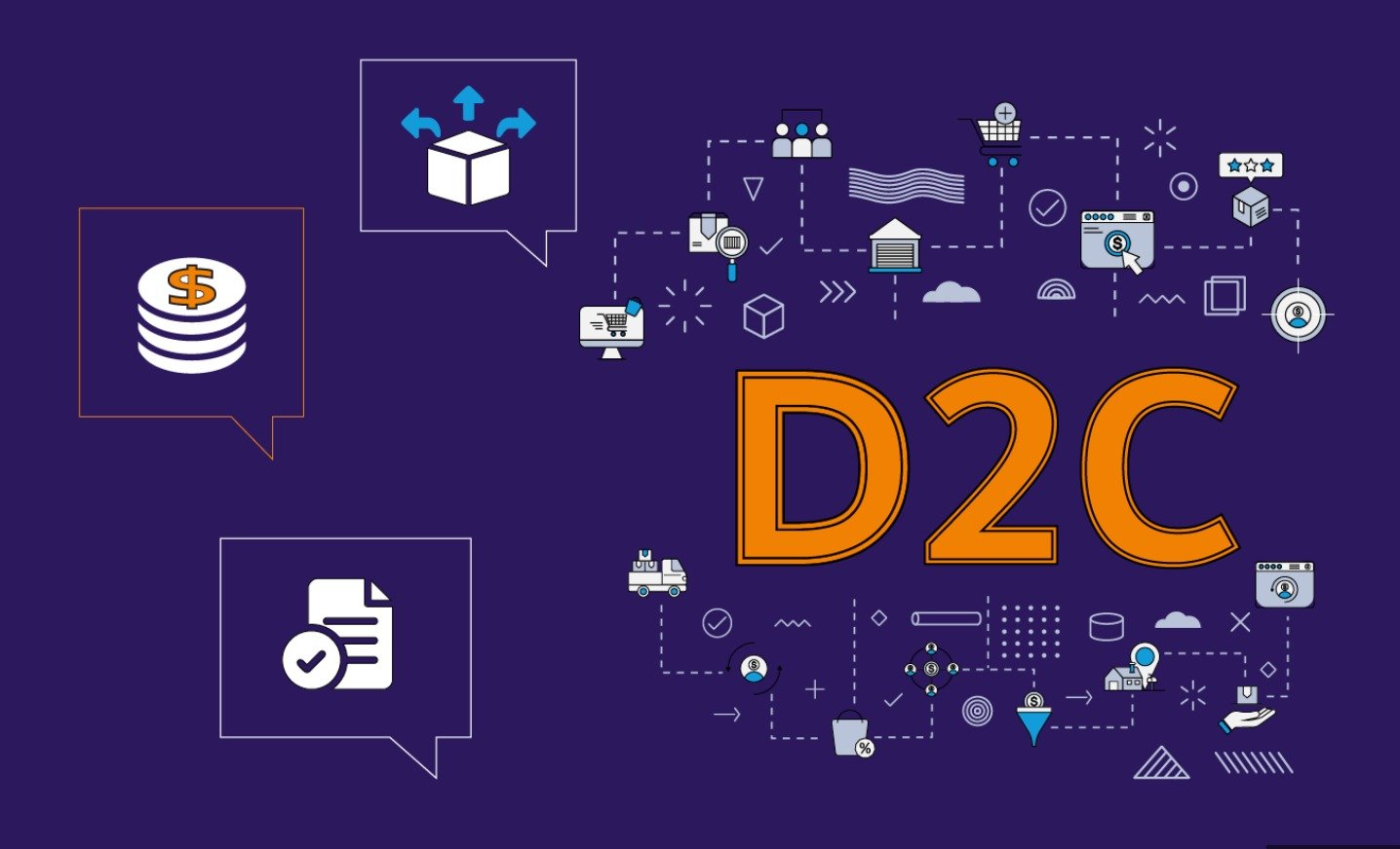 Key Insights from Evaluating D2C Startups